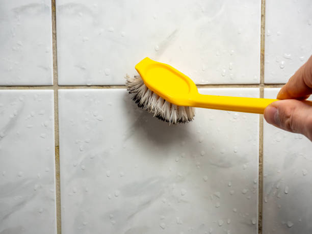 Best Post-Flood Mold Remediation in Lawton, IA