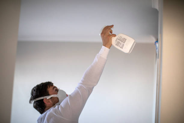 Best Residential Mold Remediation in Lawton, IA